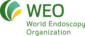 WEO_Logo_09_06