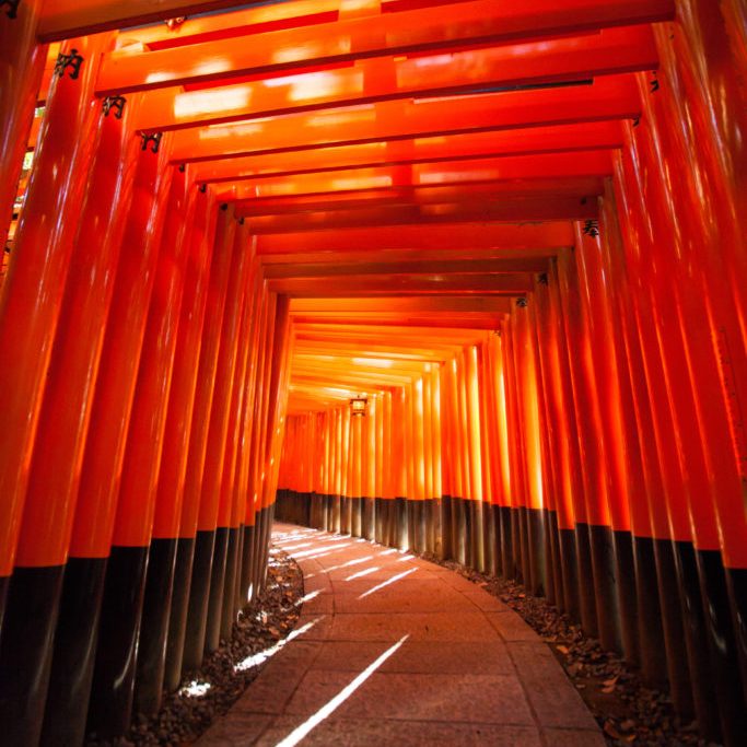 Fushimi Inari Taisha, Tunnel of Japanese name on the famous red pole or torii in Fushimi Inari taisha Kyoto, Japan