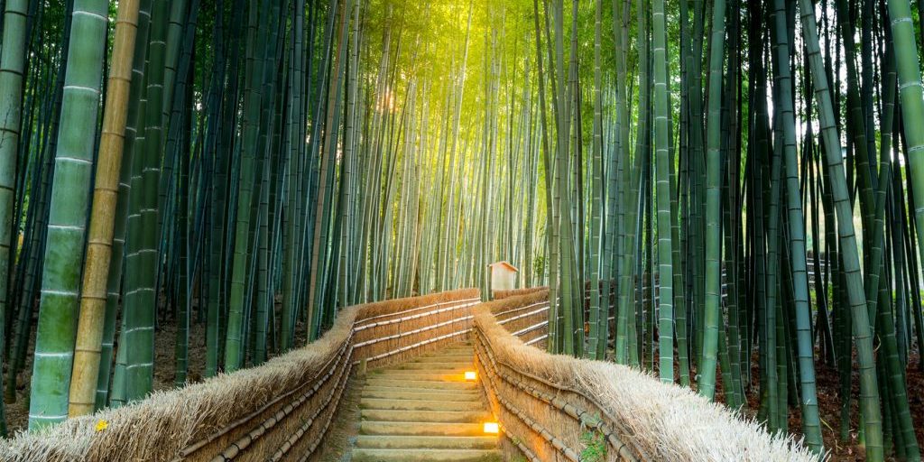 Kyoto-Arashiyama-Bamboo-Groove